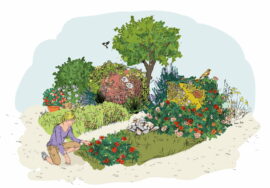 sépulture végétalisée