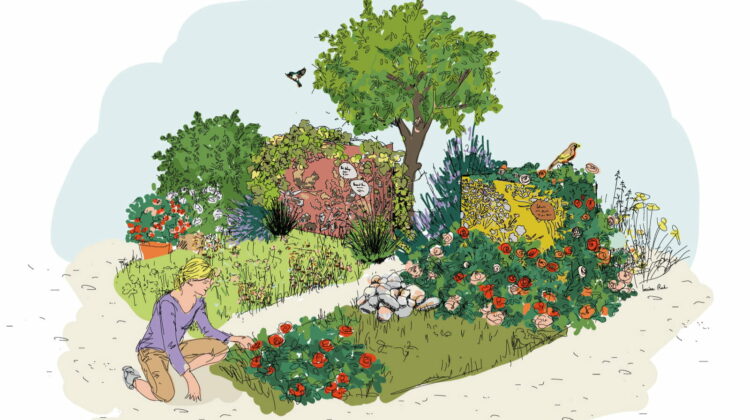 sépulture végétalisée